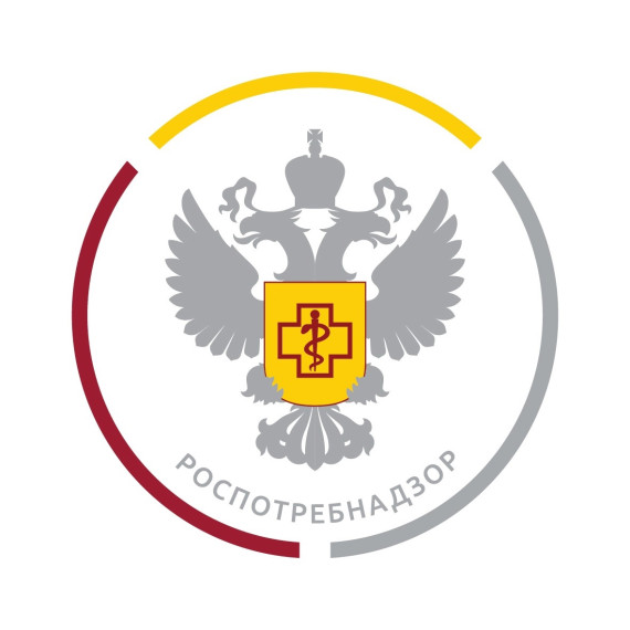 Видеоматериалы.